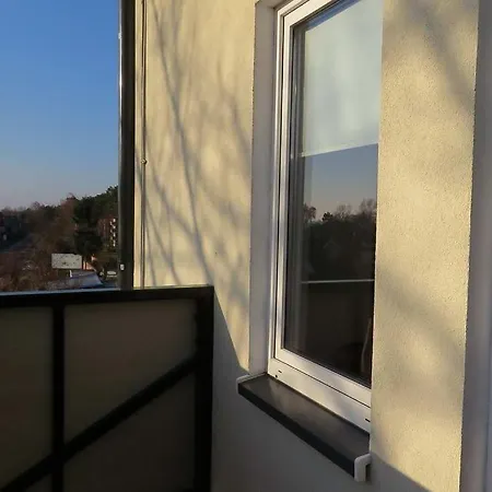 Sonnenschein